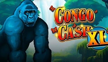 Congo Cash XL